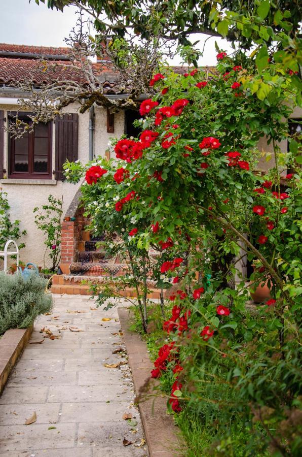 Apartmán La Petite Pierrette Saint-Benoit-de-Carmaux Exteriér fotografie